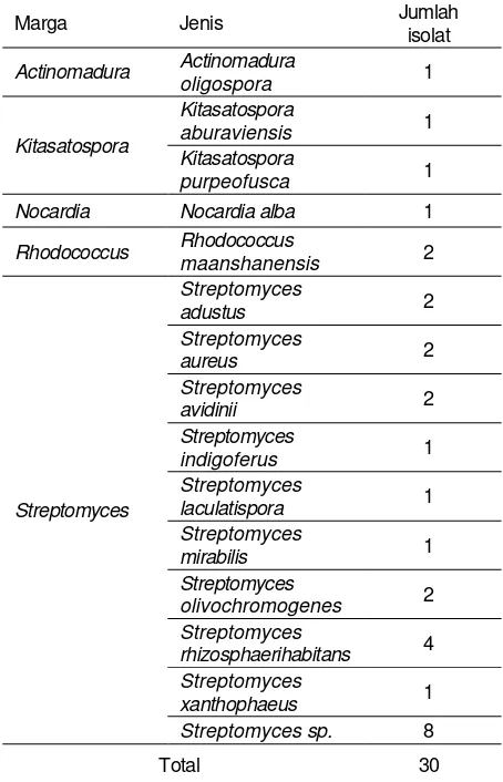 Tabel 1. Keanekaragaman aktinomisetes yang berhasil diisolasi dari sedimen air tawar Mamasa, Sulawesi Barat 