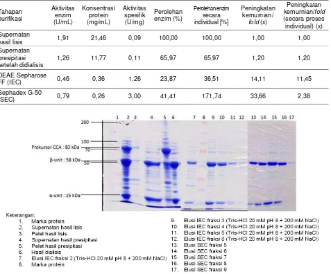 Tabel 1. Data analisis sampel tiap tahapan purifikasi CCA yang dihasilkan oleh E. coli BL21(DE3)/S12 