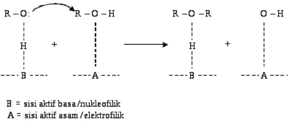 Gambar 2. Mekanisme reaksi dehidrasi etanol (Jain dan Pillai, 1967)