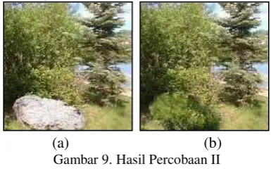 Gambar 6. Citra Query 