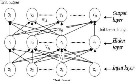 Figure 1. Neural Network Architecture  