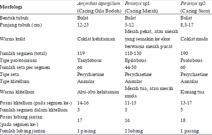 Tabel 1. Karakteristik morfologi Amynthas aspergillum (Cacing Gila Bodoh), Perionyx sp1 (Cacing Merah), dan Perionyx sp2 (Cacing Susu).