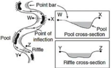 Gambar 1.2. Karakteristik Penampang Melintang (cross section) jeram (riffle) dan  palung (pool)   ( Sumber:  Charlton, 2008)