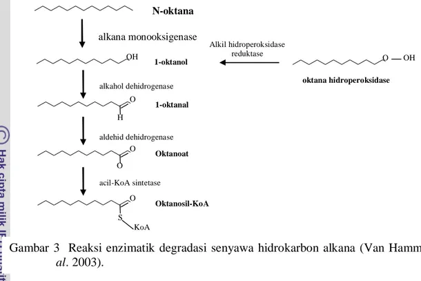 Gambar  3   Reaksi  enzimatik  degradasi  senyawa  hidrokarbon  alkana  (Van  Hamme  et  al
