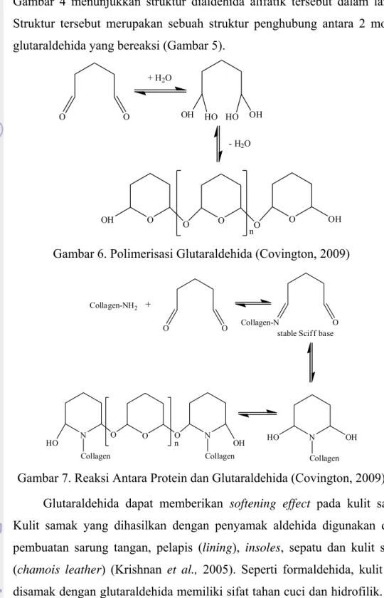 Gambar 4 menunjukkan struktur dialdehida alifatik tersebut dalam larutan.  Struktur tersebut merupakan sebuah struktur penghubung antara 2 molekul  glutaraldehida yang bereaksi (Gambar 5)