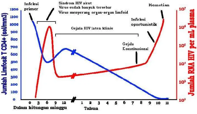 Gambar 7. 7. G Grafik hubungan antara jumlah HIV dan jumlumlah CD4+ pada