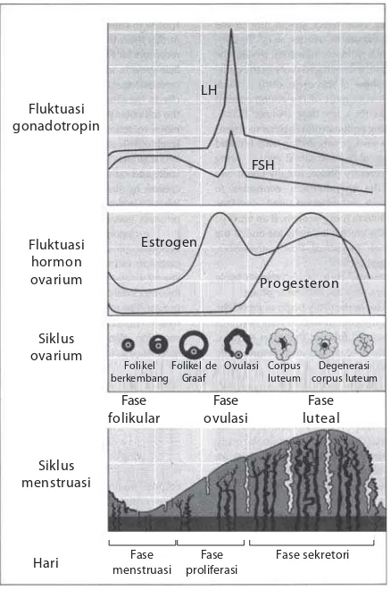 Gambar 9.6Grafik siklus menstruasi