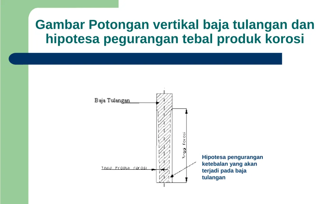 Gambar Potongan vertikal baja tulangan dan  hipotesa pegurangan tebal produk korosi 