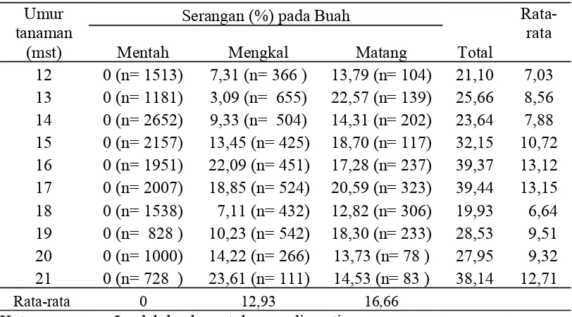 Gambar 4.  Kriteria buah cabai yang diamati: a. Matang;  b. Mengkal; c. Mentah