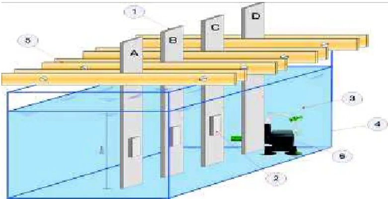 Gambar 1. Susunan spesimen uji dalam bak air laut. 