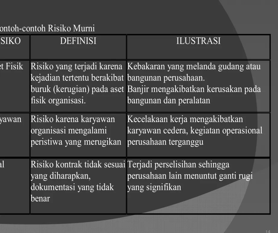 Tabel 2. Contoh-contoh Risiko Murni