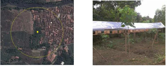 Gambar 3 Lokasi penelitian dan letak stup dengan radius 100 meter dari lingkaran  di Desa Leuwibatu (kanan)  