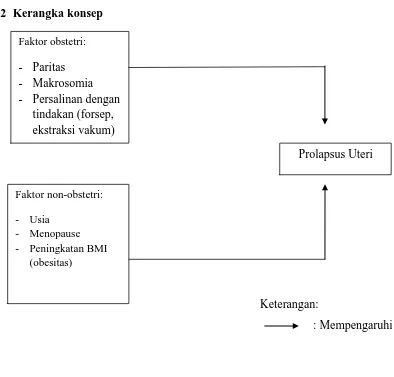 Gambar 8. Kerangka konsep 