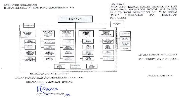 Gambar 1.3. Struktur Organisasi BPPT 