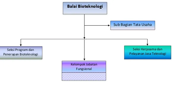 Gambar 1.6. Struktur Organisasi Balai Bioteknologi 