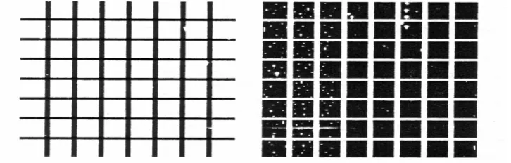 Gambar 2.6 Kisi-kisi Hermann 