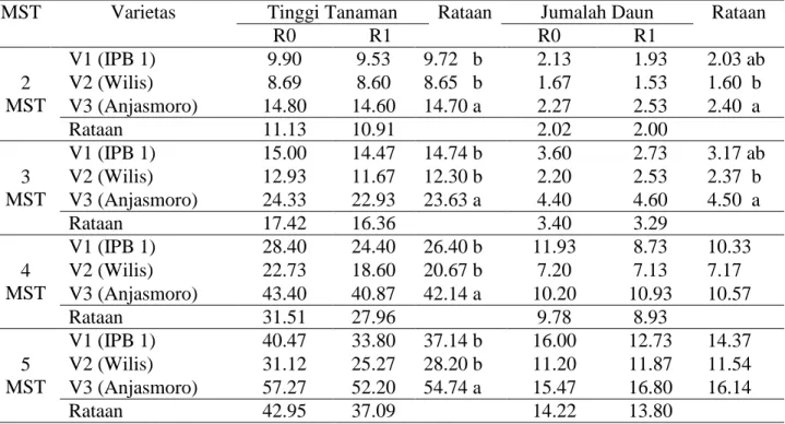 Tabel 1. Tinggi tanaman (cm) dan Jumlah daun (helai) tiga varietas kedelai pada umur  2—5 MST   dengan perlakuan inokulasi Rhizobium 
