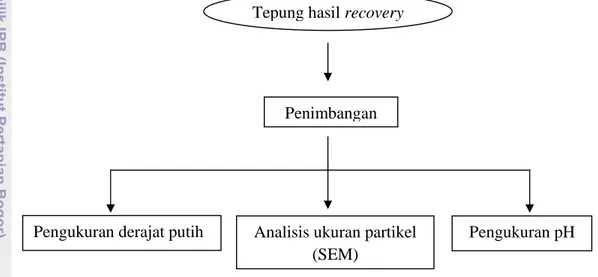 Gambar 7. Diagram alir karakterisasi tepung hasil recovery dari  limbah demineralisasi kulit udang