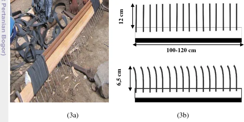 Gambar 3  Gigi raga yang ditancapkan pada kayu (3a) dan desain gigi raga (3b) 