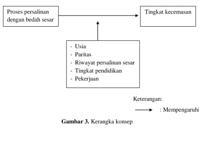 Gambar 3. Kerangka konsep 