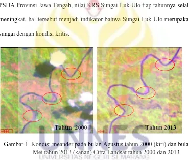 Gambar 1. Kondisi meander pada bulan Agustus tahun 2000 (kiri) dan bulanMei tahun 2013 (kanan) Citra Landsat tahun 2000 dan 2013