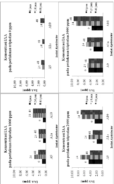 Gambar 4.4 Diagram Batang Hasil Uji Produksi IAA oleh Azotobacter A1a, A9 dan A10.