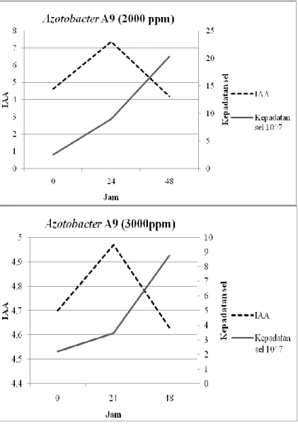 Gambar  4.5-a  Hubungan  Kepadatan  Sel  dan  Produksi  IAA  pada  Isolat Azotobacter A9 pada Perlakuan Triptofan yang Berbeda