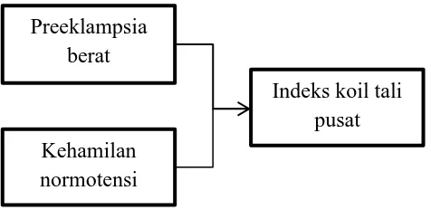 Gambar 7. Kerangka konsep 