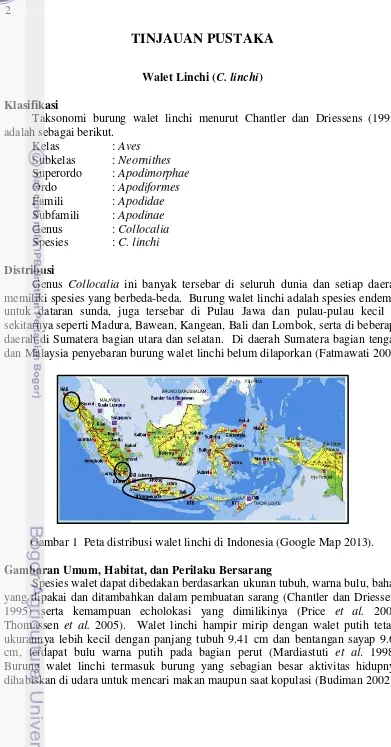 Gambar 1  Peta distribusi walet linchi di Indonesia (Google Map 2013). 