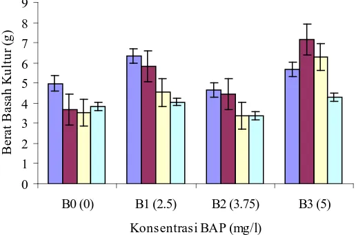 Gambar 4.4 Hubungan rata-rata berat basah kultur  dengan   kombinasi BAP dan NAA. N0     0 mg/l NAA, N1      0.5 mg/l NAA,N2  1 mg/l NAA, N       3       1.5 mg/l NAA
