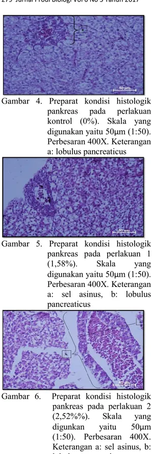 Gambar  4.  Preparat  kondisi  histologik  pankreas  pada  perlakuan  kontrol  (0%).  Skala  yang  digunakan yaitu 50μm (1:50)