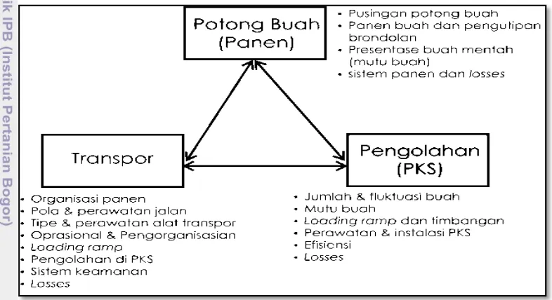 Gambar 4Keterkaitan aktivitas potong buah, transpor, dan sasaran pengolahan 