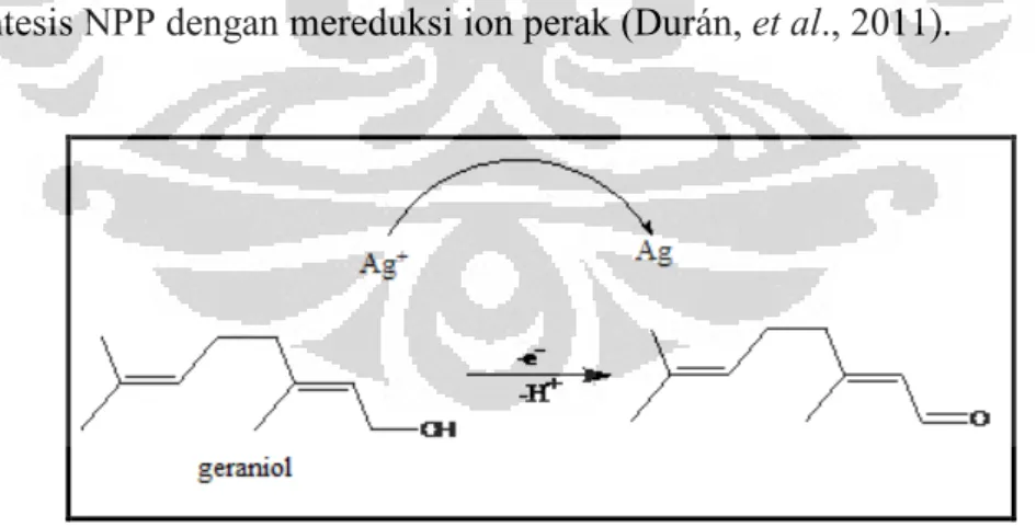 Gambar 2.2. Mekanisme reduksi AgNO 3  menjadi nanopartikel Ag oleh geraniol  pada ekstrak daun geranium 