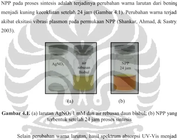 Gambar 4.1. (a) larutan AgNO 3  1 mM dan air rebusan daun bisbul; (b) NPP yang  terbentuk setelah 24 jam proses sintesis 