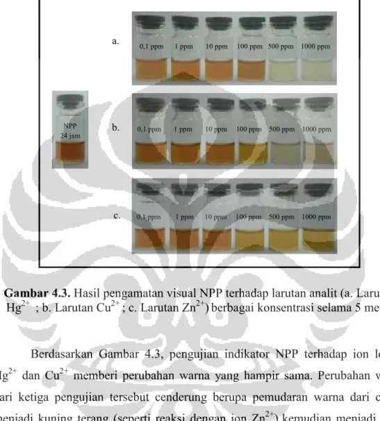 Gambar 4.3. Hasil pengamatan visual NPP terhadap larutan analit (a. Larutan  Hg 2+   ; b