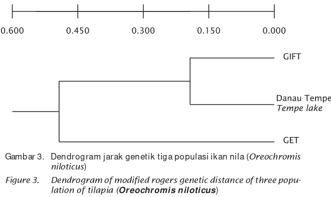 Gambar 3. Dendrogram jarak genetik tiga populasi ikan nila (Oreochromis