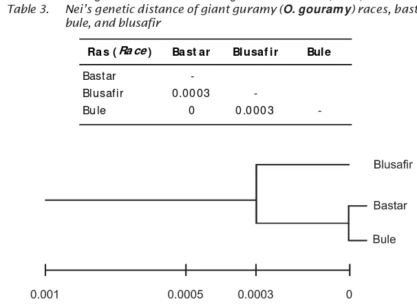 Tabel 3.Jarak genetik standar Nei ikan gurame ras bastar, bule, dan blusafirTable 3.Nei’s genetic distance of giant guramy (O