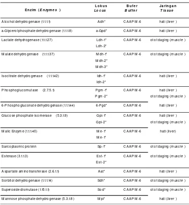 Tabel 3.Jaringan spesifik dan bufer yang digunakan dalam analisis elektroforesis allozymeTable 3.Tissue specific and buffer systems tested for allozyme electrophoresis