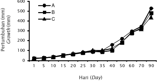 Gambar 8: Pertumbuhan larva kerapu bebek hingga berumur 90 hari denganmenggunakan skimmer A (6 hari), B (15 hari), dan C (tanpa skimmer)Figure 8.Growth of humpback grouper larvae on 90 old day by using skimmer A (6day), B (15 day), and C (without skimmer)