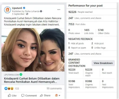 Gambar  3.2. Tampilan Facebook Insight 