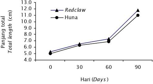 Gambar 1. Laju pertumbuhan redclaw (C. quadricarinatus) dan huna (C. albertisi)yang dipelihara dalam kolam tanahFigure 1.Growth rate of redclaw (C