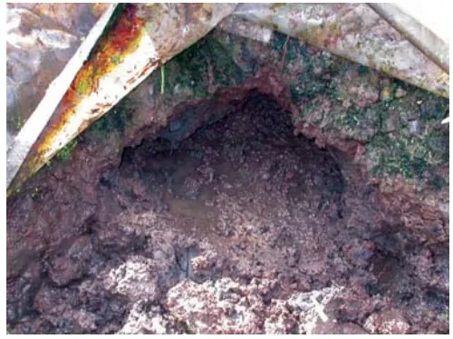 Gambar 2. Penampang melintang dan membujur lubang perlindungan cheraxpada pematang kolam tanahFigure 2.Cross section of cherax hideout in pond dyke