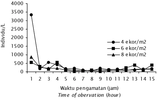 Gambar 3. Kelimpahan plankton selama pemeliharaanFigure 3.Abundance of plankton during experiment