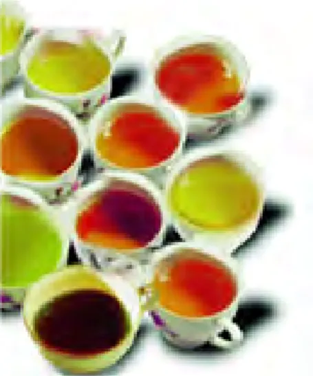Gambar 2.5  Teh hijau merupakan jenis teh yang memiliki banyak manfaat bagi  peminumnya 