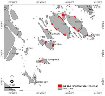 Gambar 5. Sebaran budi daya rumput laut yang ada di lokasi penelitianFigure 5.Distribution of existing seaweed culture in study area