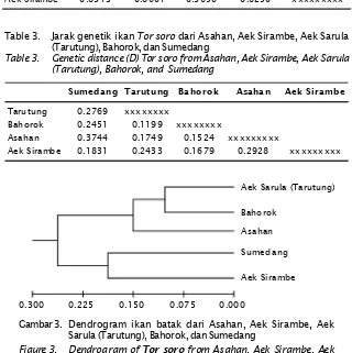 Table 3.Jarak genetik ikan Tor soro dari Asahan, Aek Sirambe, Aek Sarula
