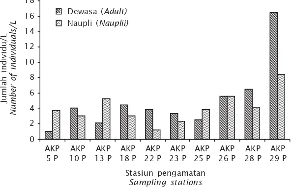 Figure 2.Gambar 2. Populasi copepoda di Teluk PegametanPopulations of copepods in Pegametan Bay