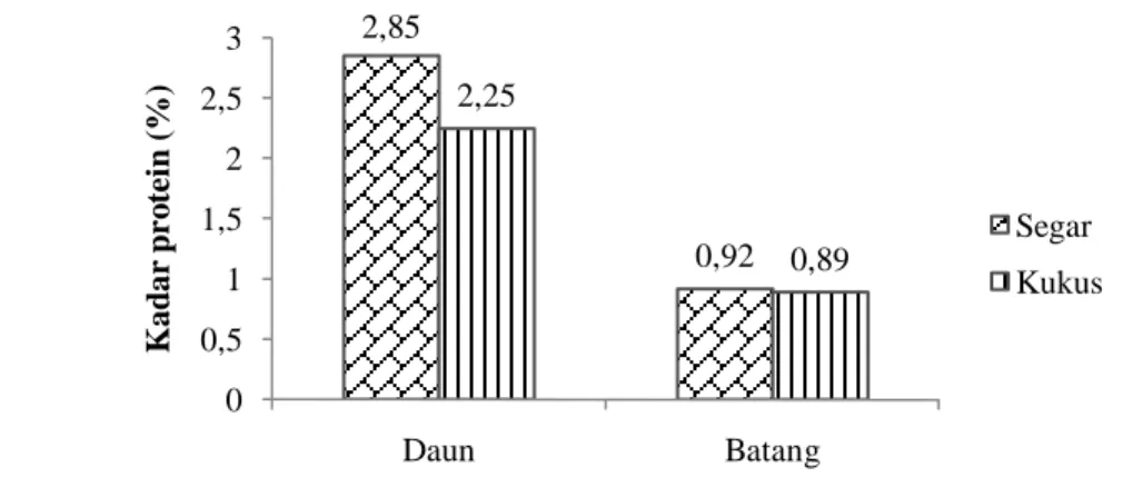 Gambar 11  Histogram rata-rata kadar protein tanaman genjer  