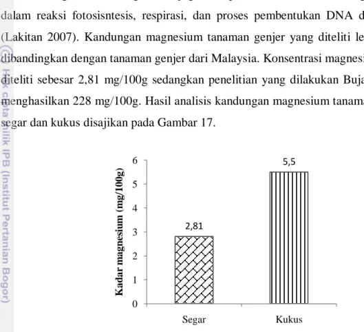 Gambar 17 Histogram rata-rata kandungan magnesium tanaman genjer 