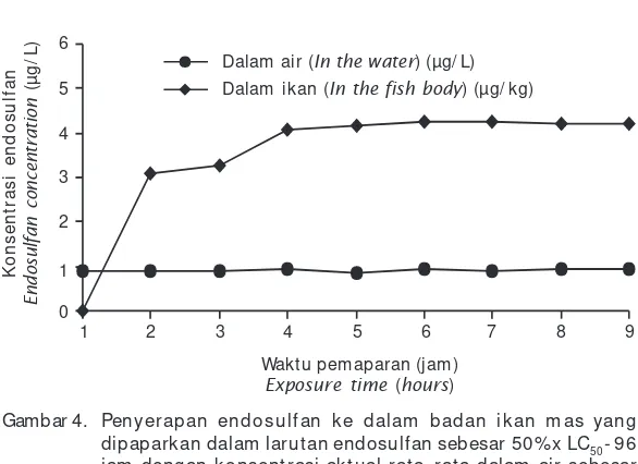 Gambar 3. Penyerapan endosulfan ke dalam badan ikan mas yang
